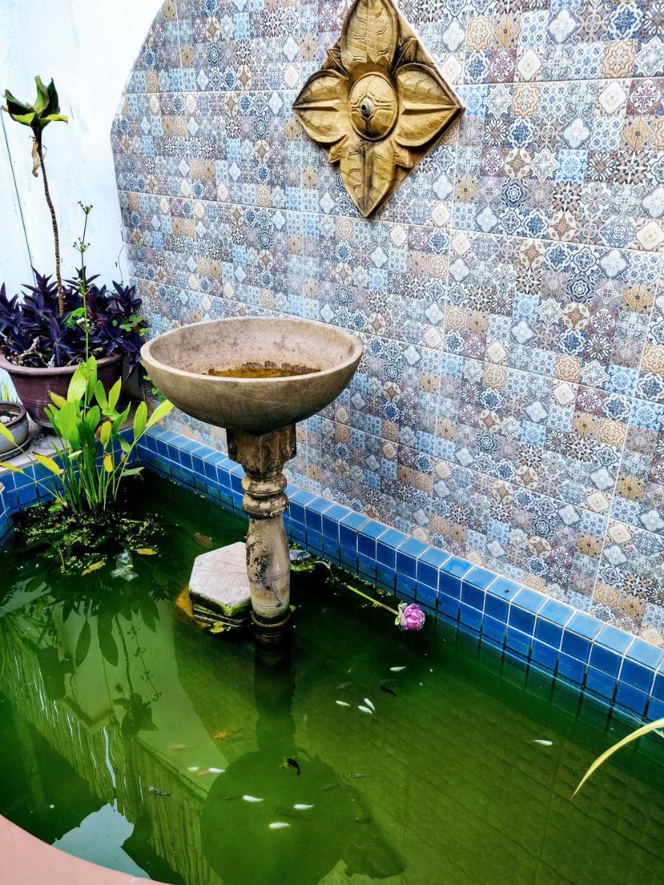The Cashew Nut Villas سيام ريب المظهر الخارجي الصورة
